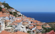 Velania klorer seg fast i fjellsida - utenfor turistleia